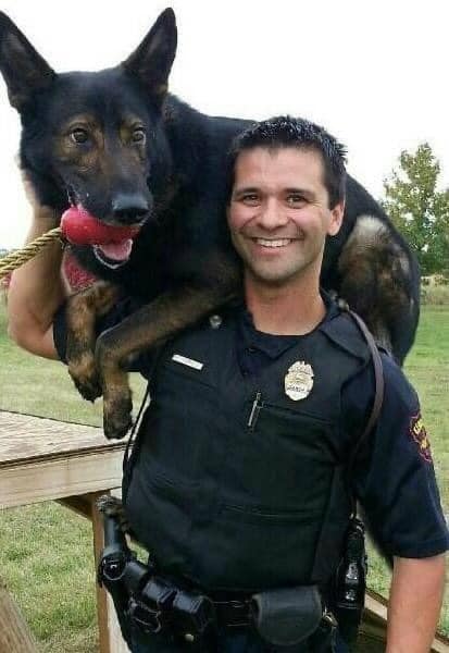 Dog Lovers tweet media