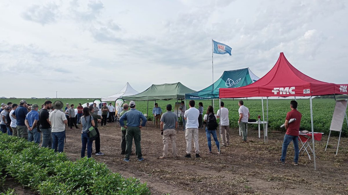 #Soja 🌱Algunas imágenes de la jornada que con más de 60 asistentes se está desarrollando ahora en el establecimiento Picco Hnos donde se presenta el ensayo de la Red de Evaluaciones de Cultivares de Soja del área de la AER INTA La Carlota