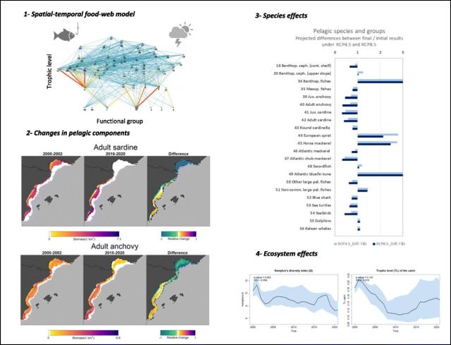 🗞️ @ICMCSIC &...& #IEO_Baleares_Publication ➡️ 'Retrospective analysis of the pelagic ecosystem of the Western Mediterranean Sea: Drivers, changes and effects' ba.ieo.es/es/ultimas-pub… in #SciTotEnv