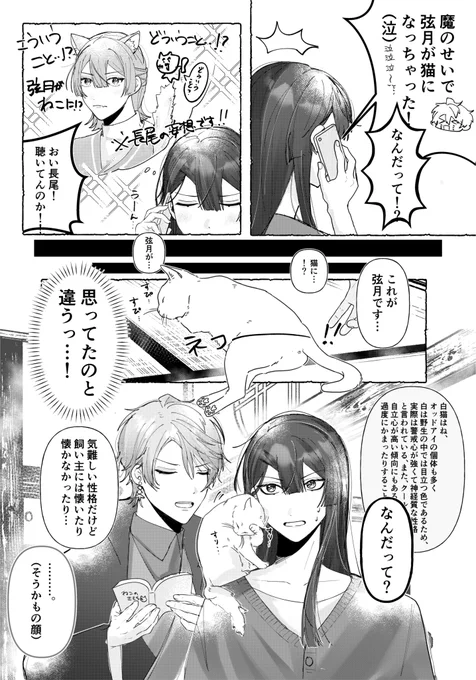 猫になっちゃった…!? 幻覚 