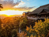 SophSummer's tweet photo. 🏯 Hôm nay, tôi đã có cơ hội khám phá Chùa Kiyomizu-dera ở   Kyoto và không thể không chia sẻ với mọi người về trải nghiệm tuyệt vời này!   🌸✨
 
    Khi bước vào khuôn viên của chùa, tôi bị ấn tượng ngay từ vẻ đẹp tráng lệ   và sự linh thiêng của ngôi chùa này. Từ dưới chân đồng thời cao lên, Chùa   Kiyomizu-dera mang đến cho tôi một cảm giác kích thích và sự ngưỡng mộ về   kiến trúc độc đáo của Nhật Bản.
 
    Ngắm nhìn thành phố Kyoto từ tầng trên của chùa, tôi không khỏi trầm trồ   trước vẻ đẹp hùng vĩ của cảnh quan xung quanh. Cảm giác như mình đang đứng   trên một nơi linh thiêng, nơi kết nối giữa con người và thiên nhiên.
 
    Mỗi góc cạnh của Chùa Kiyomizu-dera đều tôn vinh sự kiêu sa và tinh tế của   nghệ thuật kiến trúc truyền thống Nhật Bản. Tôi không thể không ngạc nhiên   trước sự tỉ mỉ trong từng chi tiết, từ cách sắp xếp cây cỏ, đá vàng cho đến   kiến trúc của từng ngôi đền nhỏ xung quanh.
 
    Chùa Kiyomizu-dera không chỉ là một điểm đến du lịch nổi tiếng mà còn là   một nơi mang đến cho tôi một trải nghiệm tâm linh sâu sắc và ý nghĩa. Đây   thực sự là một điểm đến không thể bỏ qua nếu bạn đặt chân đến Kyoto!
 
    #ChùaKiyomizu #TrảiNghiệmTâmLinh #HùngVĩ 🏯🌸✨