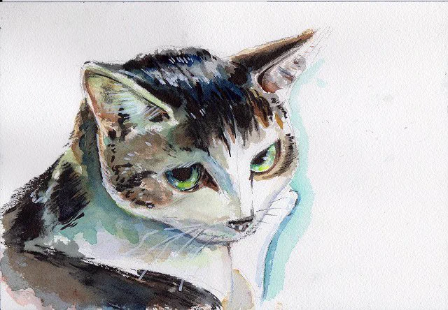 #猫の日2024 