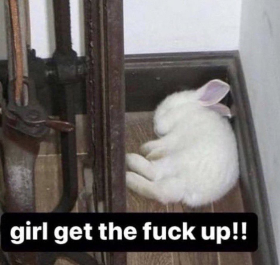 just heard the jeon yeobeen and song hyekyo upcoming movie newsflash from  my sister