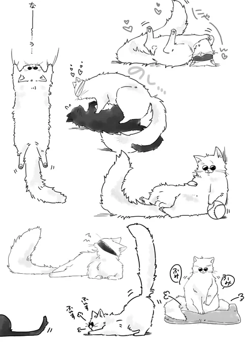 ねこちゃんまとめ 