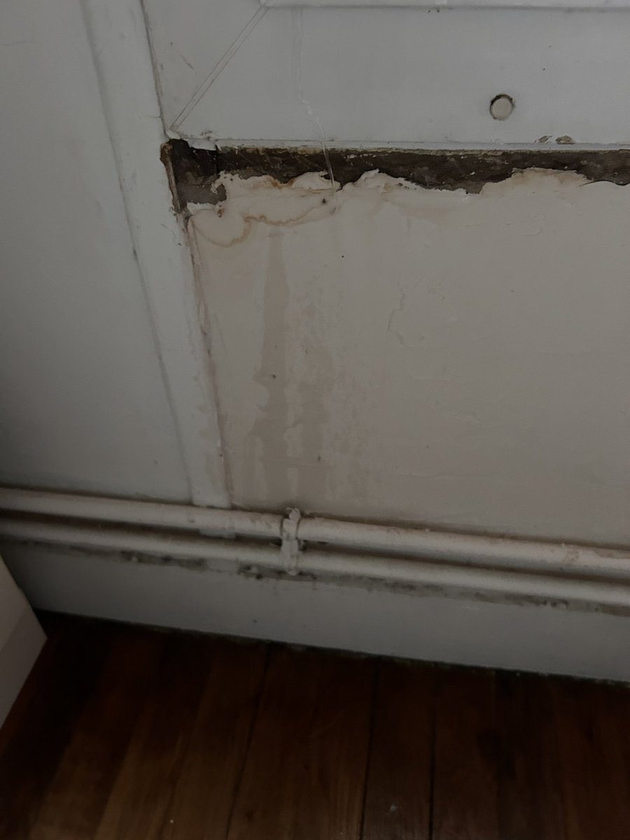Lea_Lee_M's tweet photo. Coucou @Paris_Habitat, un petit soucis non ? Il pleut chez moi en plus de la moisissure. 
Votre agence ne semble pas prendre mon soucis au sérieux depuis des années. Avec des enfants dont un nourrisson, ce n’est pas très décent … @mairiedu16 https://t.co/9ltq58S2Sh