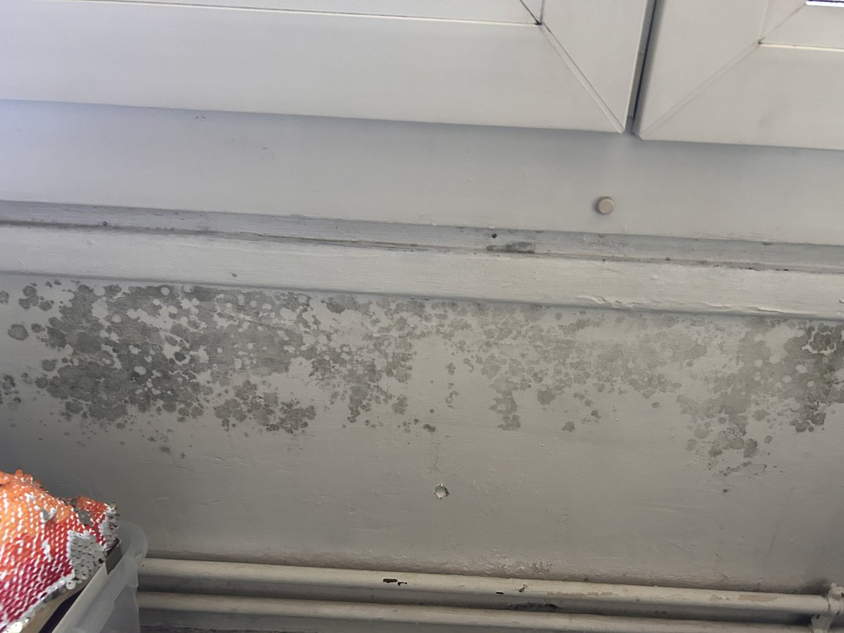 Lea_Lee_M's tweet photo. Coucou @Paris_Habitat, un petit soucis non ? Il pleut chez moi en plus de la moisissure. 
Votre agence ne semble pas prendre mon soucis au sérieux depuis des années. Avec des enfants dont un nourrisson, ce n’est pas très décent … @mairiedu16 https://t.co/9ltq58S2Sh