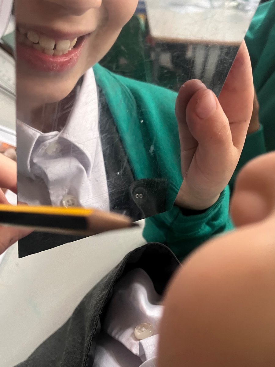 HaseltineYear4 tweet media