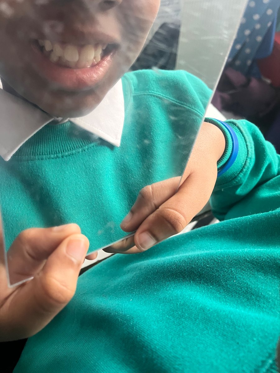 HaseltineYear4 tweet media