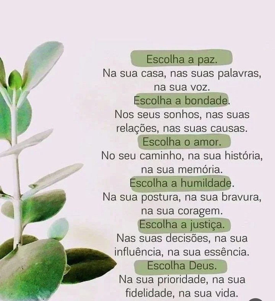 Norminha 🚩O Brasil feliz de novo. (@norminhasac) on Twitter photo 