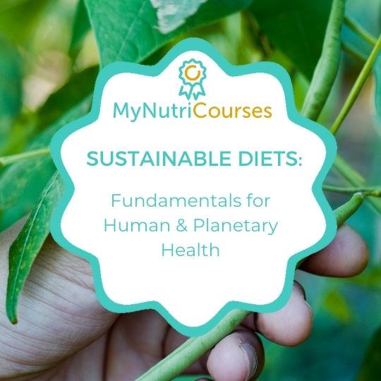 🌿 💭 Want to improve your confidence & knowledge around #sustainablediets❔ ✅ Take a look @ our online course, #CPD endorsed by the @AfN_UK_ & @BDA_Dietitians Key experts in the area covering the fundamentals for human & planetary health Enrol here: bit.ly/4bJqAXj