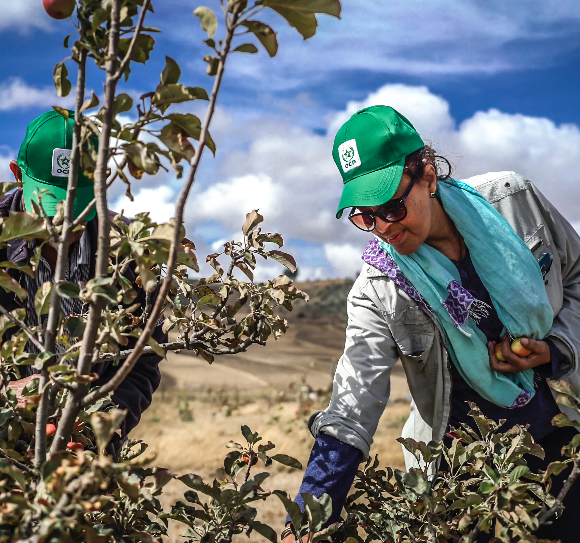 Naxan_Export's tweet photo. #agricultura #africa 
🚜Desarrollar una agricultura sostenible en África. 
🌾 La agricultura africana se encuentra en un momento de transformación de su historia y un momento de increíbles posibilidades.

https://t.co/c5vFHkPAYf https://t.co/iPLgLV2Bi5