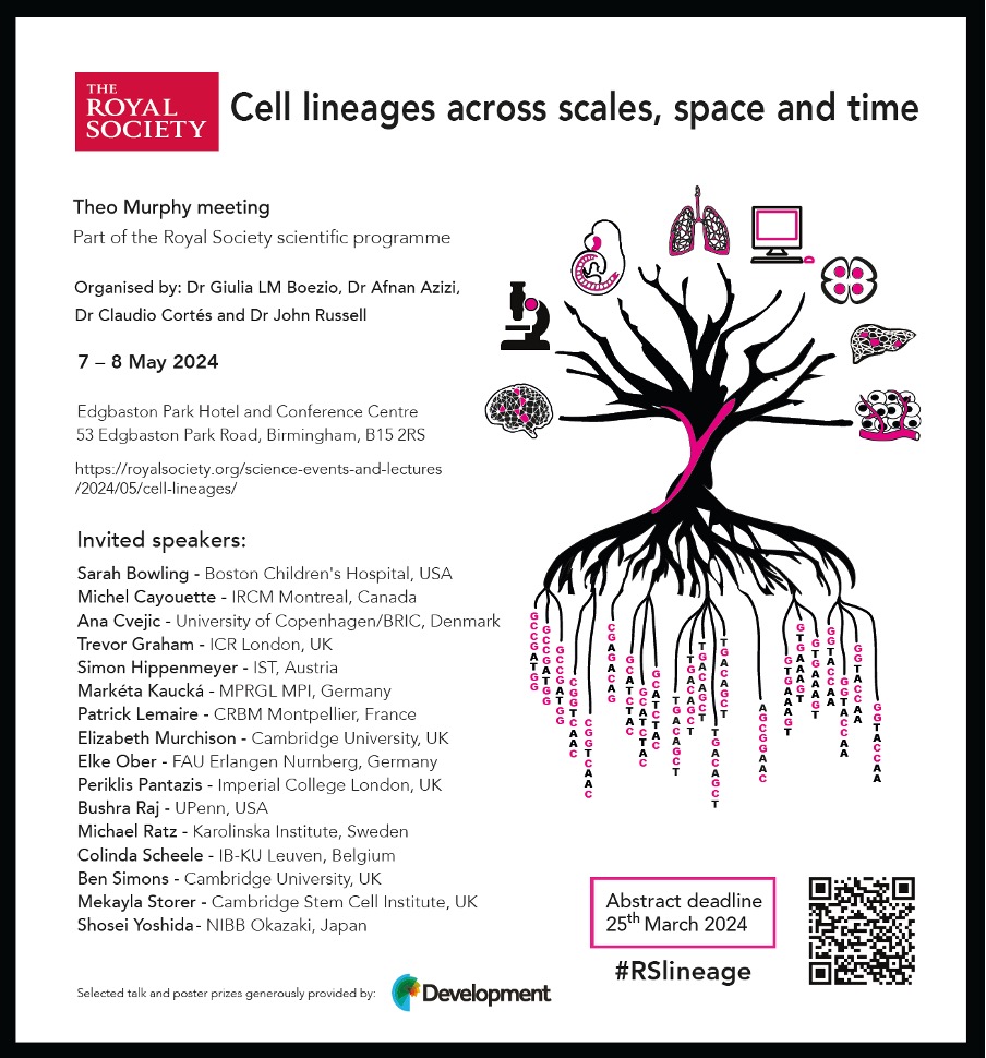 Giulia Boezio (@giulsboezio) on Twitter photo Get to know our #RSlineage speakers!
<a href="/SarahBowling15/">Sarah Bowling</a> has developed innovative CRISPR-based lineage tracing techniques generating stable mouse lines...what's next?
Stay tuned and see you in Birmingham in May to learn more about Sarah's current research! Get to know our #RSlineage speakers!
<a href="/SarahBowling15/">Sarah Bowling</a> has developed innovative CRISPR-based lineage tracing techniques generating stable mouse lines...what's next?
Stay tuned and see you in Birmingham in May to learn more about Sarah's current research!