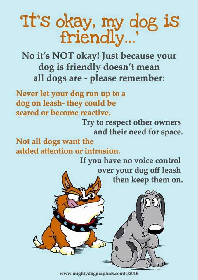 This is fitting after what happend to Kilo!!. Kilo was on a lead Another dog OFF lead and ran upto Kilo a scuffle breaks out and Kilo gets shot dead because he got the blame purely because of his breed and the other dogs owner not listening!!!