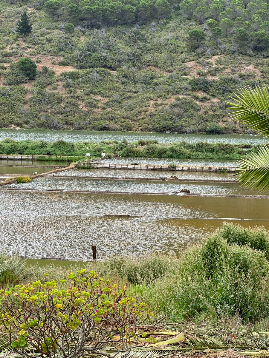 fvene0021's tweet image. Recuerdo cuando la #UNESCO quería declarar las #SalinasDeCáhuil como PATRIMONIO INMATERIAL DE LA HUMANIDAD. Hoy lamentablemente pérdida total de la producción de #SalDeMar 2024,  inundaciones provocadas x Convento Viejo. Autoridad no hace nada @CHVNoticias @ContigoCHV