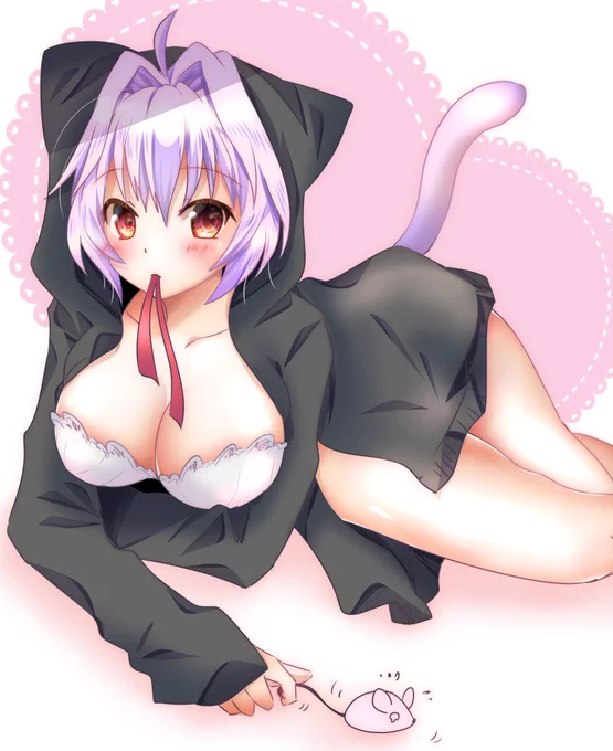 #猫の日 #ネコの日 多摩です。猫じゃないにゃ 