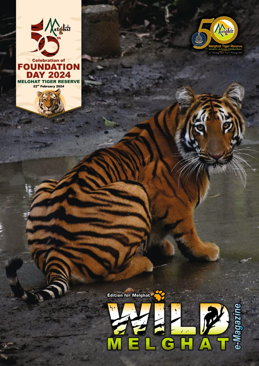 'Excited to announce the release of the Wild Melghat e-magazine, brimming with captivating wildlife stories! 🐅🌿 Celebrating the #GoldenJubilee of #MelghatTigerReserve, dive into the beauty & importance of conservation. Download your copy here: magicalmelghat.in/publication #50Years