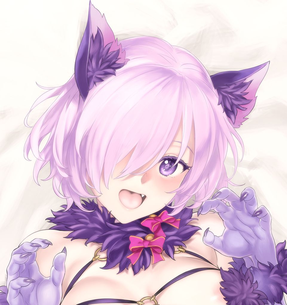 ネコミミ詰め合わせ 