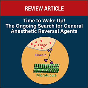 _Anesthesiology's tweet photo. Authors discuss recovery from general anesthesia, a multistep process requiring the reversal or discontinuation of anesthetic drugs. They detail endpoints that can be used to assess reversal or recovery and areas for future research. https://t.co/IScc50hn6f https://t.co/Bh0l1Th0Fp