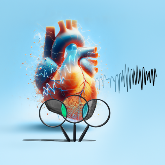 Job Stoks ontdekte dat elk hart een ‘elektrische vingerafdruk’ heeft, toen hij hartfilmpjes combineerde met anatomische beelden van de vorm van het hart. De combinatie van deze methoden helpt hartritmestoornissen begrijpen: shorturl.at/bckpK 

<a href="/CARIMMaastricht/">CARIM</a> <a href="/MaastrichtU/">Maastricht University</a>