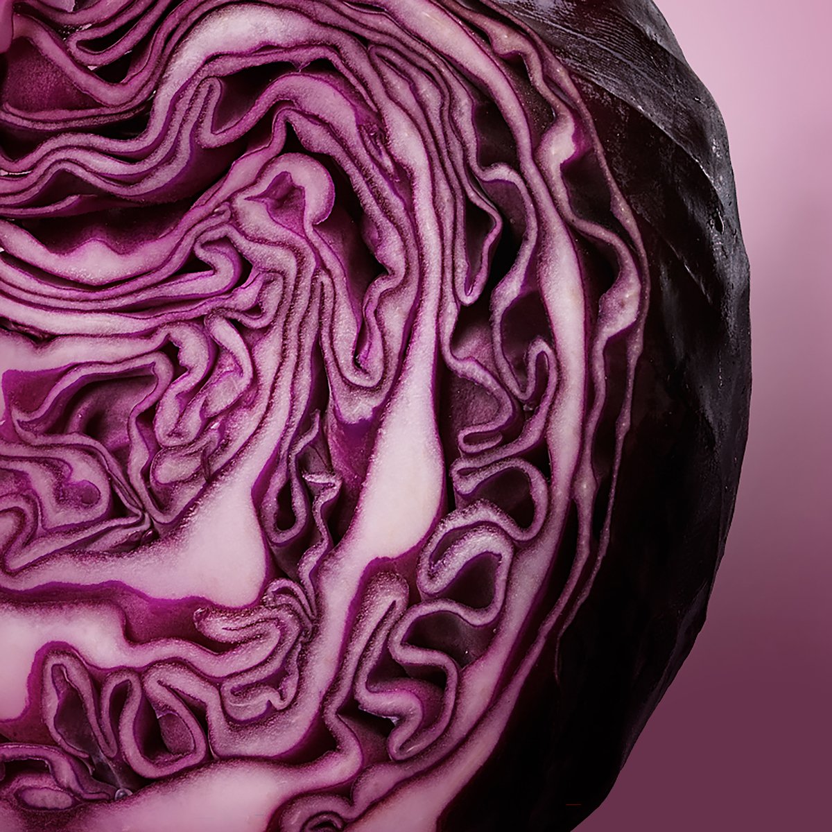 Cabbage is a great way to add a hint of crisp freshness to your winter salads. What's your favourite way to enjoy Ontario Cabbage? ontario.ca/foodland/food/… #loveONTfood