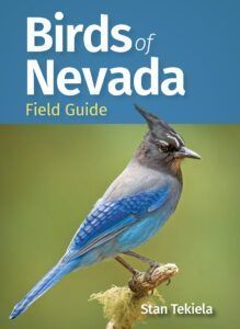 adventurepub's tweet photo. ICYMI: The Birds of Nevada Field Guide is for those who want to identify the common birds of the Silver State. Check it out! #birding #birds #wildlife #nature #birdwatching #BirdsOfNevada #bewellbeoutdoors https://t.co/CLnugyH2s1 https://t.co/qE9Snoo7Lh