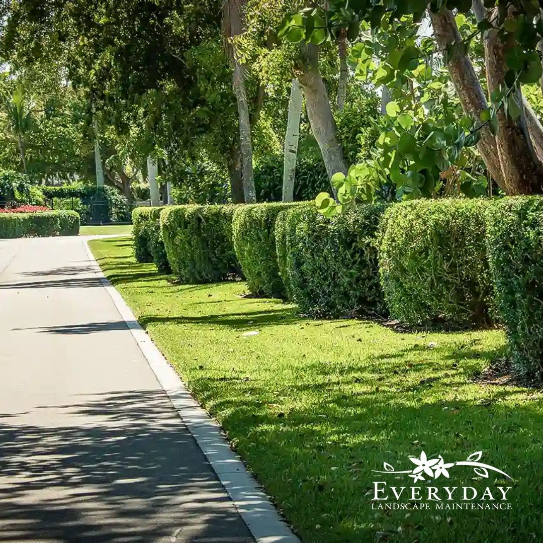everyday_maint's tweet image. For over 40 years, we've been dedicated to creating stunning outdoor spaces in Southwest Florida. Now, it's your turn to experience the difference!

#EverydayLandscapes #TransformYourSpace #LawnCareMagic