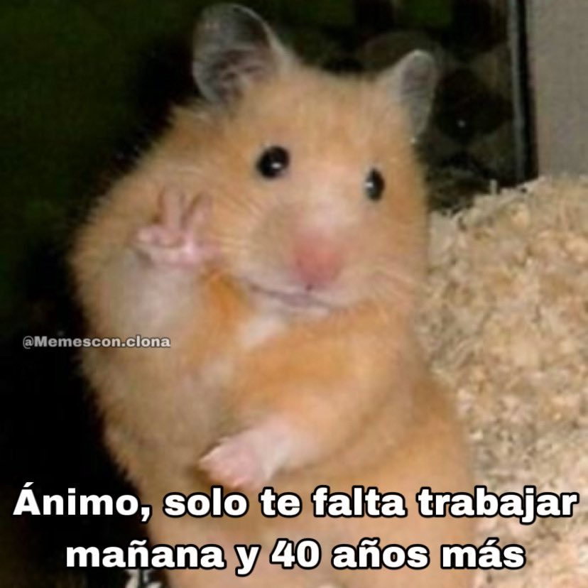 Tweets con Clona (@memesconclona) on Twitter photo 