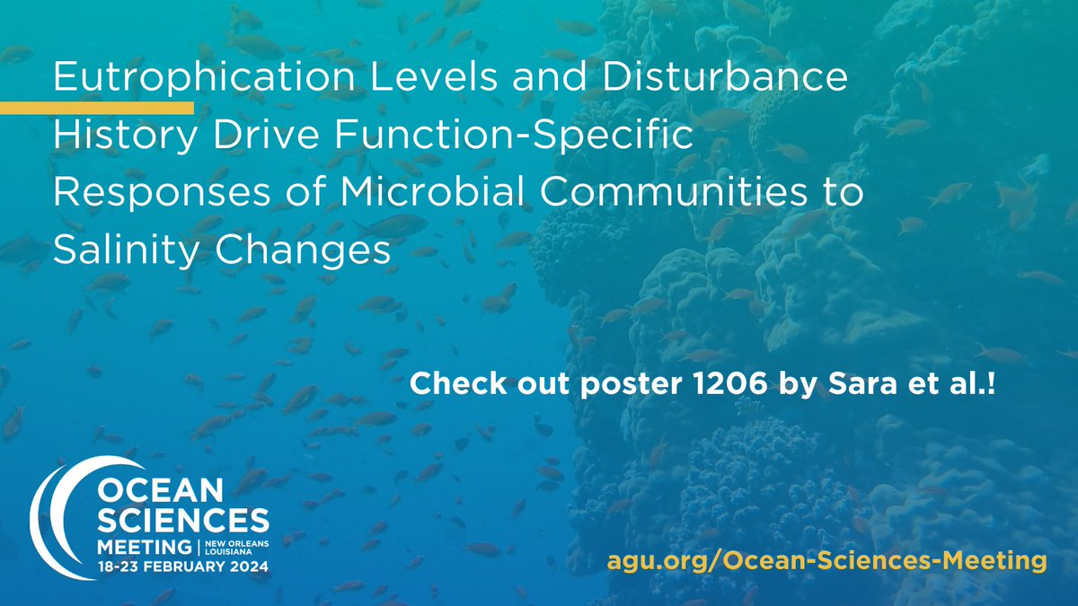 m.sierks tweet media