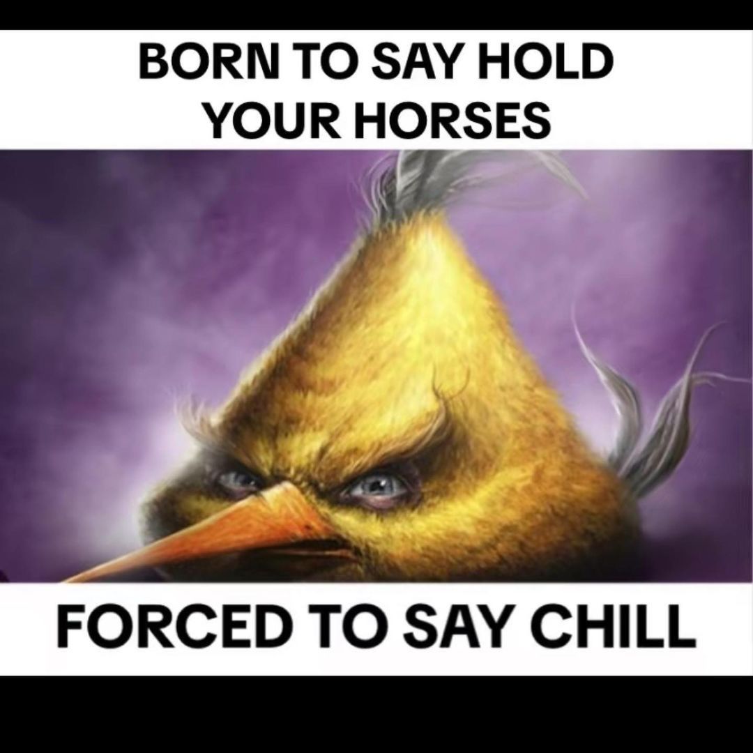 hourly_shitpost's tweet photo. https://t.co/YlS2fHasAW