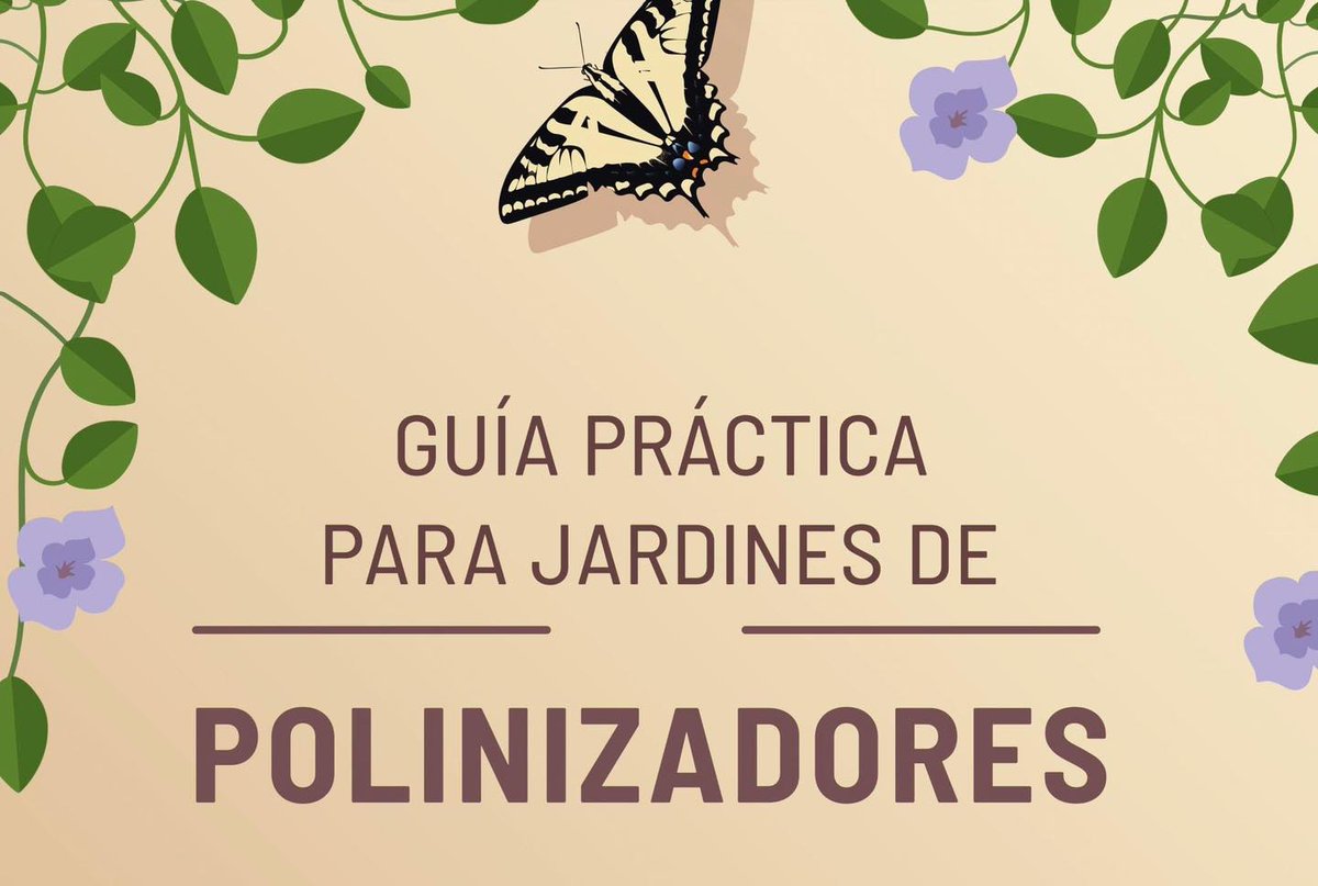🍄 🐿🌳 Guías CONABIO 🐍🌵🐚
Te invitamos a conocer la sección de guías de la #Bioteca un espacio digital en donde podrás descargar gratis muchísimas guías para identificar a la naturaleza que te rodea
Échele un ojo y descarga las que mejor te funcionen. 
bioteca.biodiversidad.gob.mx/guias.html