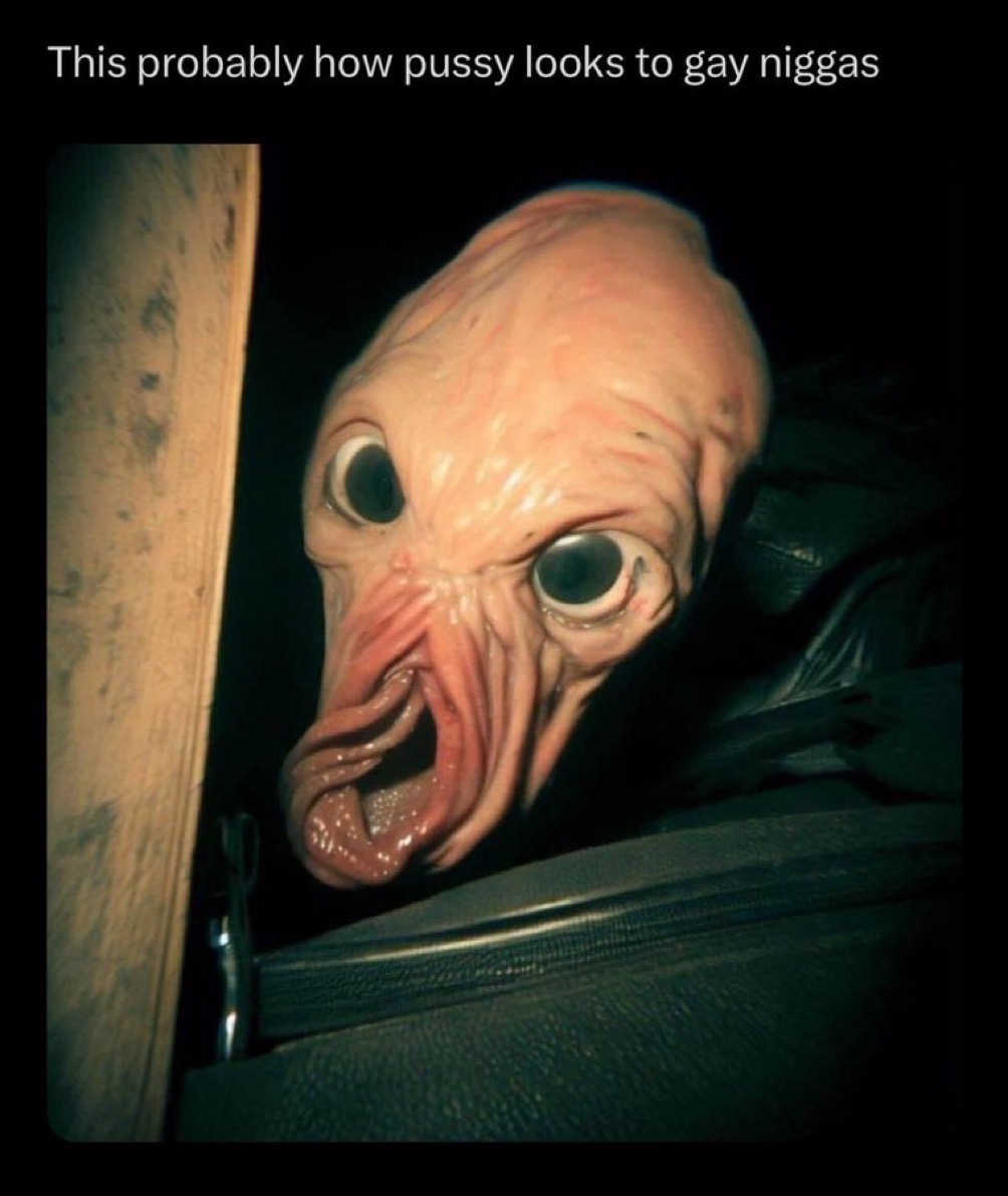 Out of Context Human Race (@nocontexthumans) on Twitter photo 