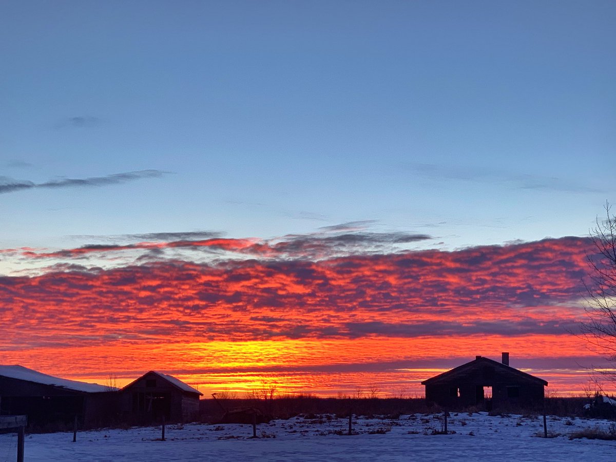 Redawna Kalynchuk tweet media