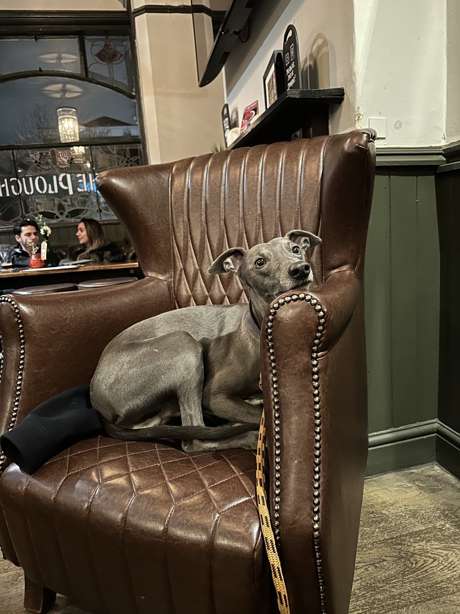 Nick Carter (@epsenvuk) on Twitter photo 