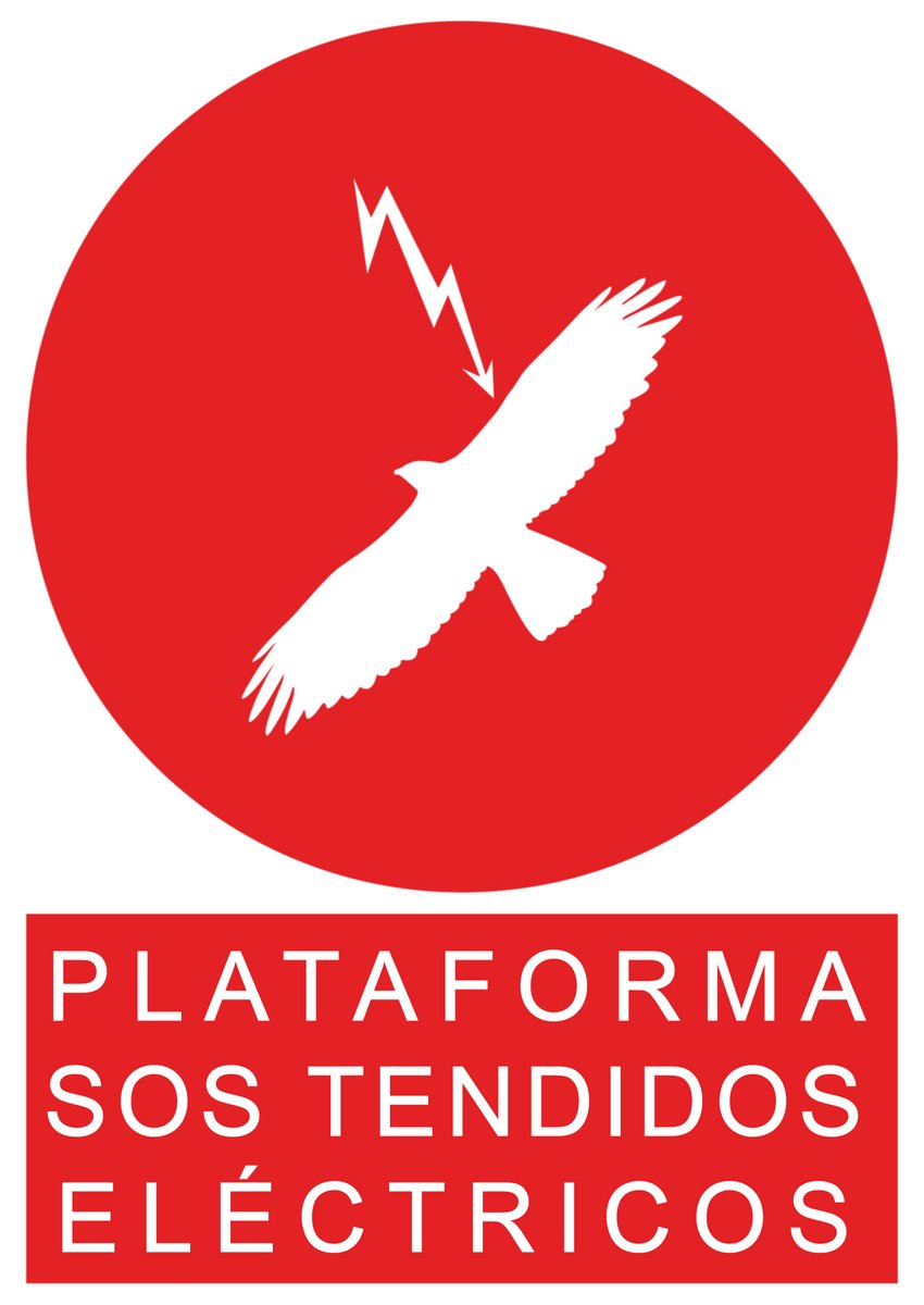RevistaQuercus's tweet photo. La Plataforma SOS Tendidos Eléctricos @sostendidos reclama a @mitecogob una nueva normativa sobre tendidos y aves #SOStendidos https://t.co/no5ceKT8VH https://t.co/xkSNZv2fPa