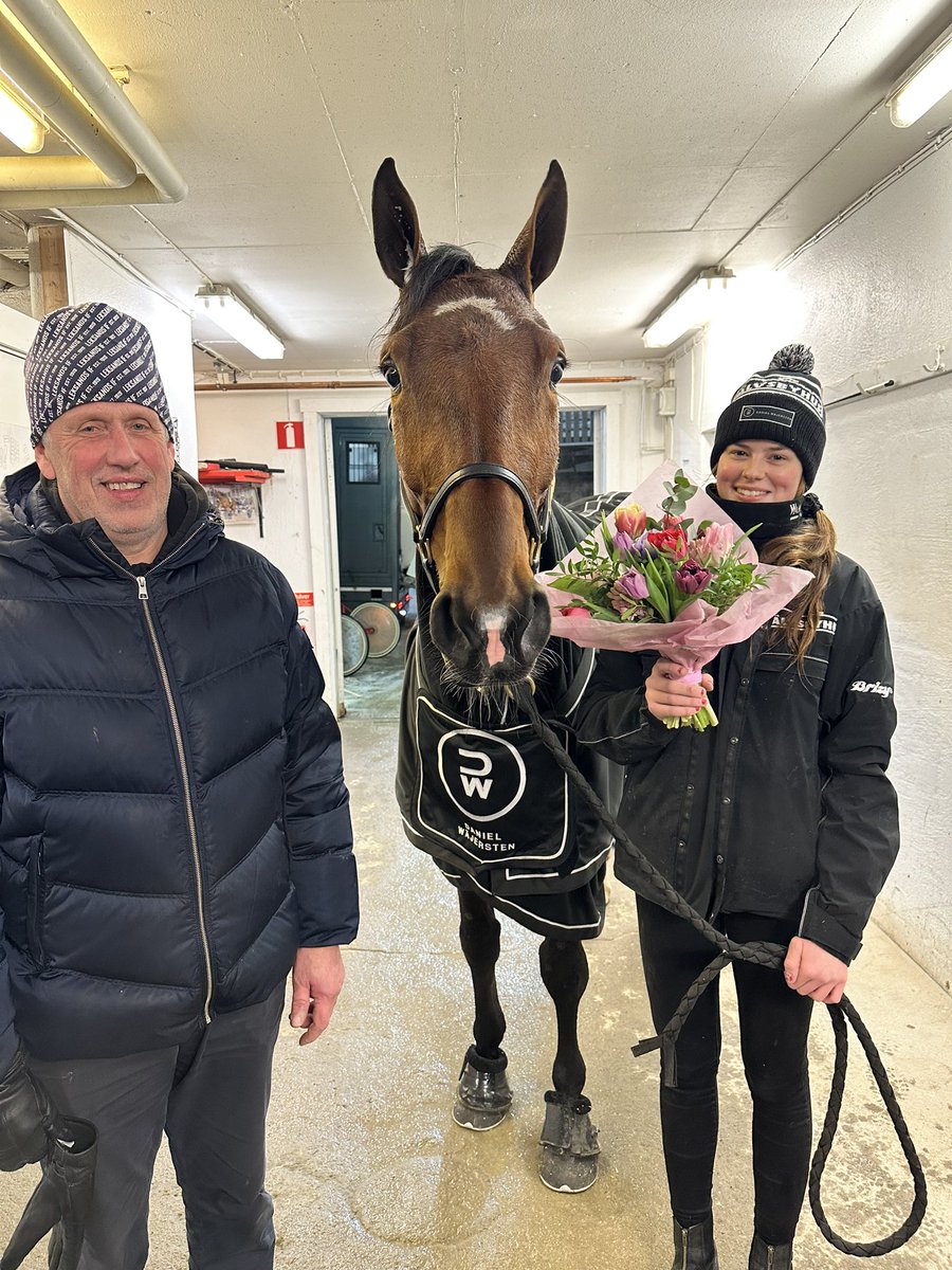 StallWajersten's tweet photo. Global Easy Rider tar andra raka! 

Tog över ledningen efter 500 meter, hårt ansatt över upploppet med sträcker på sig till seger! 

Segertid: 18,6 2640m
Ägare: Stall Born To Be Wild - Easy
Skötare: Ebba Karbelius https://t.co/McnPZnmYLy