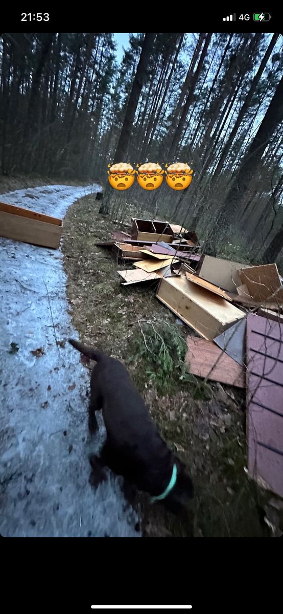 Reinis Ošenieks tweet media