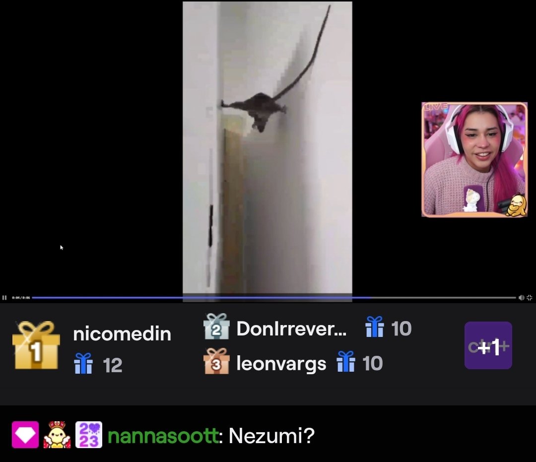 Nocontext_molly's tweet photo. Nezumi? https://t.co/bJQx1OxhxS