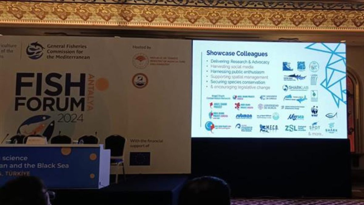 The Shark Trust tweet media