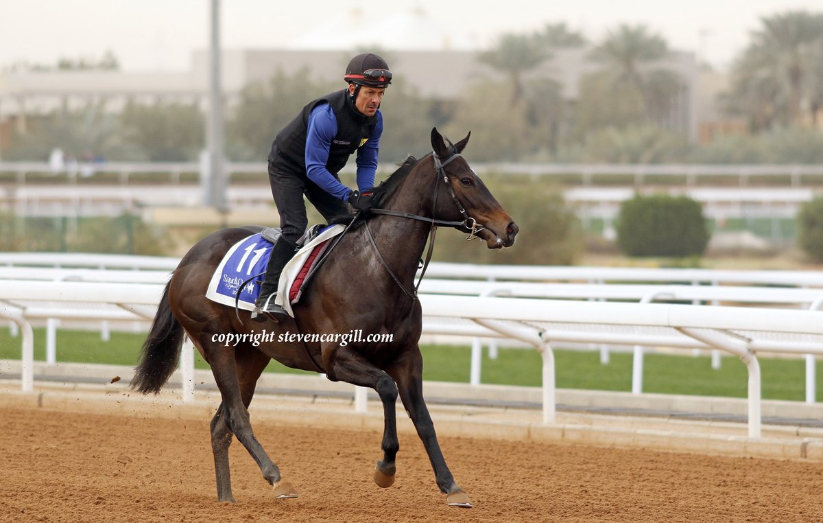 Steven Cargill (@steven_cargill) on Twitter photo Those that looked up from first breakfast may have noticed ENEMY and MATILDA PICOTTE continuing to show their well-being <a href="/thesaudicup/">The Saudi Cup</a> this morning. Those that looked up from first breakfast may have noticed ENEMY and MATILDA PICOTTE continuing to show their well-being <a href="/thesaudicup/">The Saudi Cup</a> this morning.