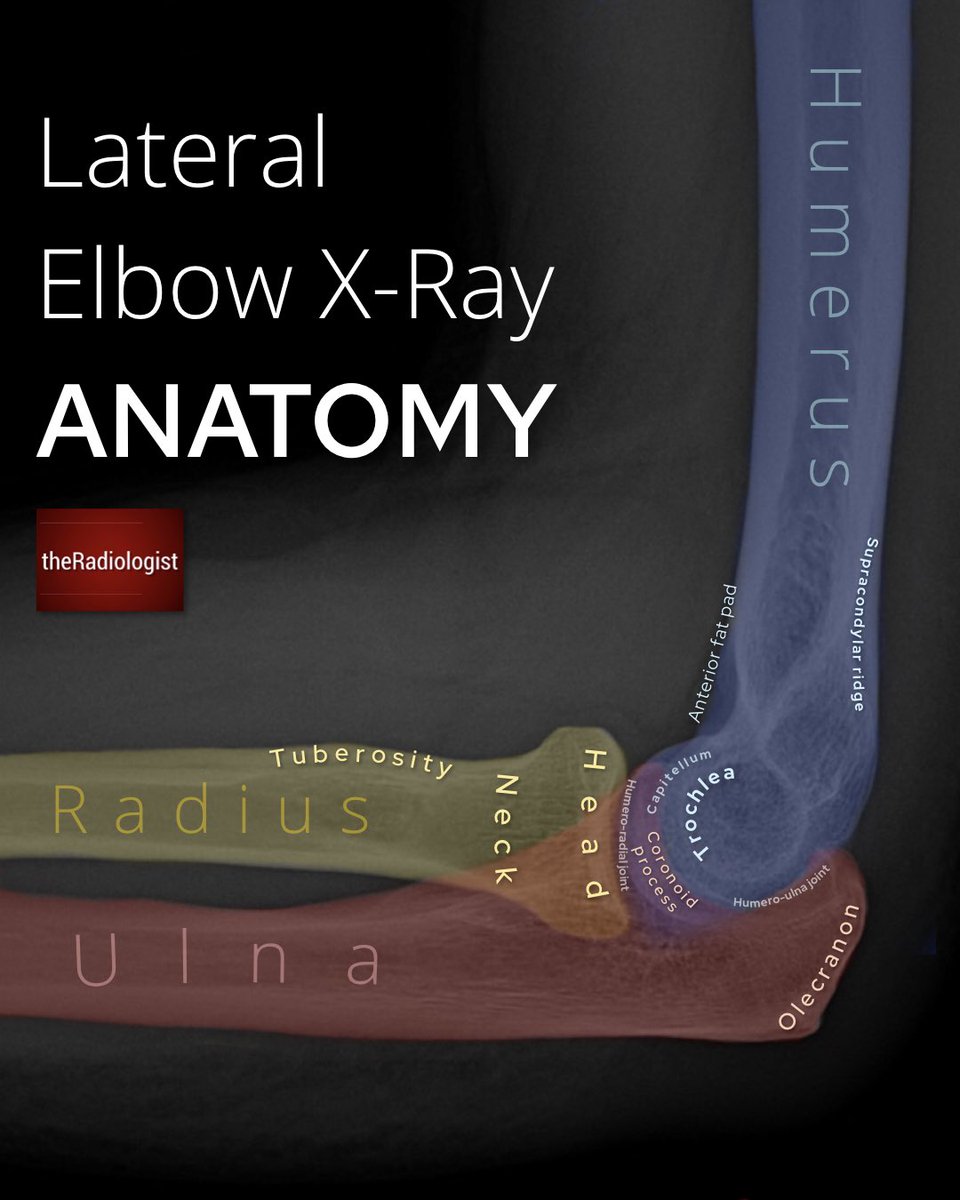 radiologistpage tweet picture