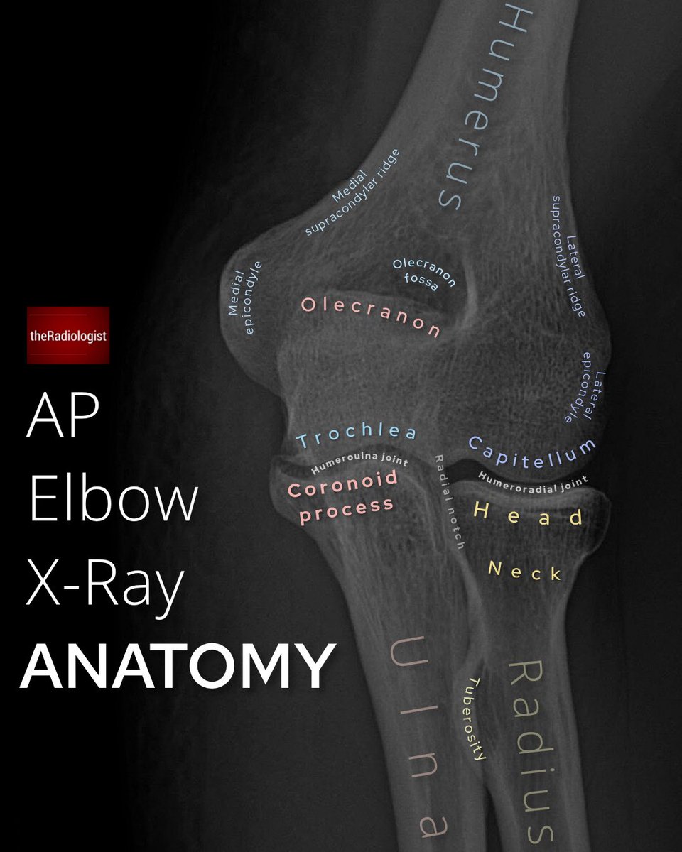 radiologistpage tweet picture