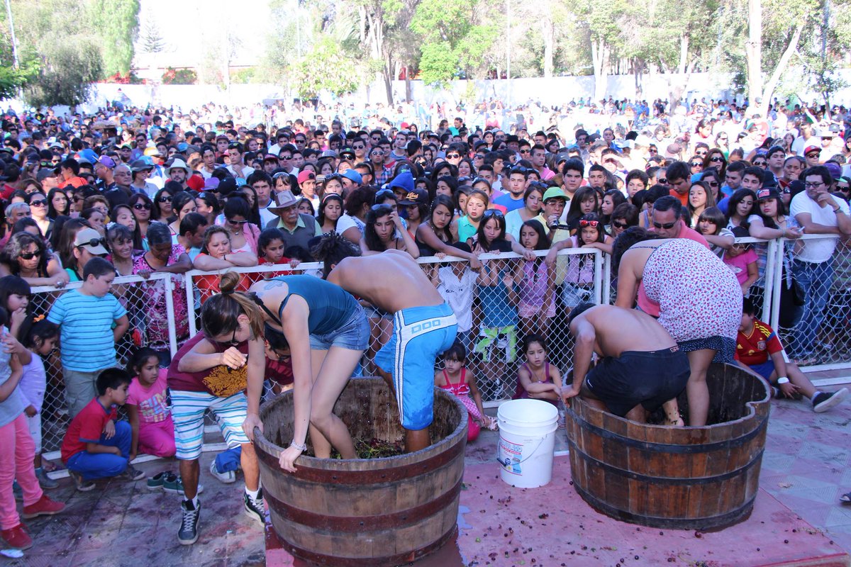 EsHoyCl's tweet photo. #Vicuña se prepara para una jornada de vino, música y diversión con la Fiesta de la Vendimia https://t.co/7pdSTcEumq https://t.co/XBhNDUGSAv