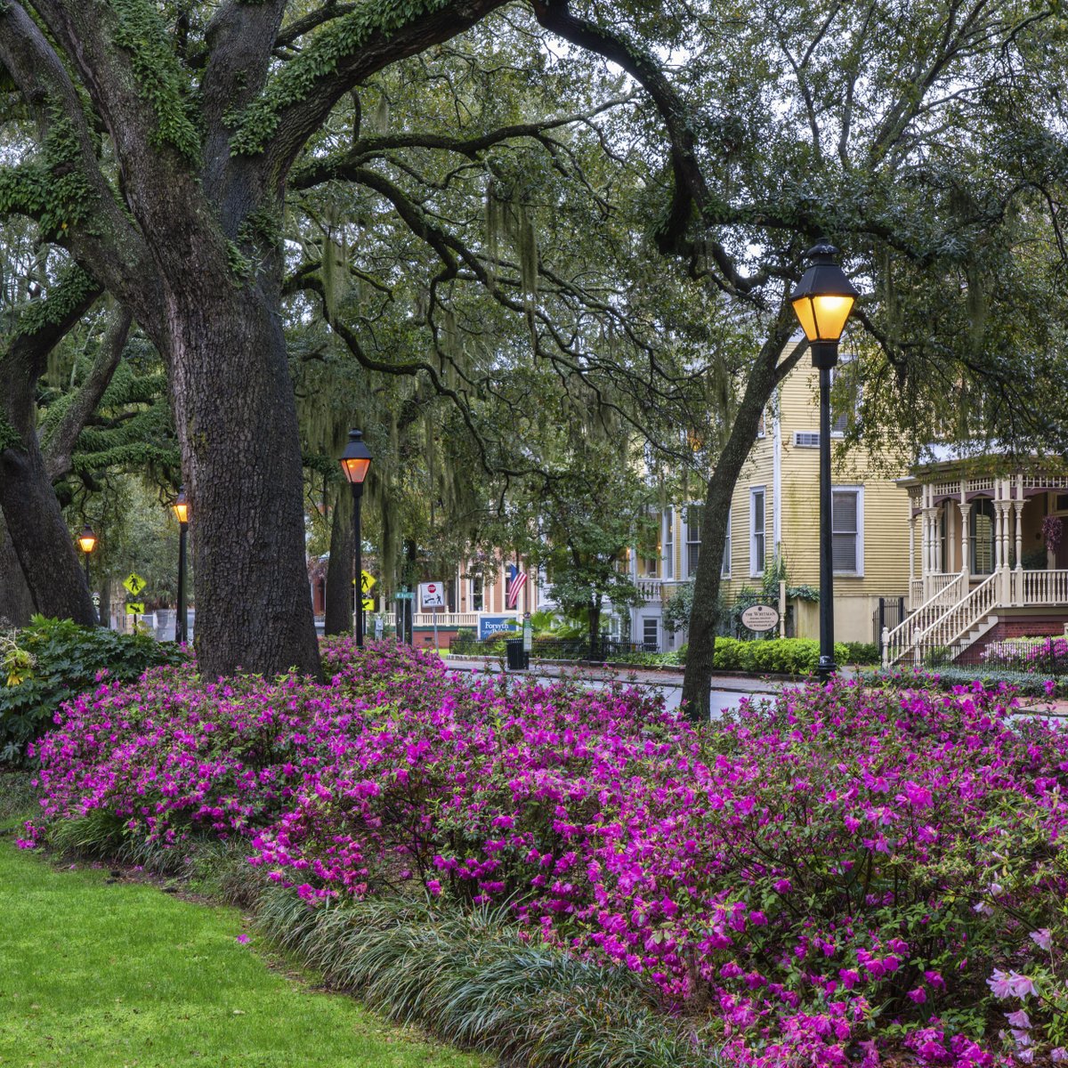 Step into the alluring world of Savannah's azalea spectacle as the city's historic corners are transformed with vibrant blooms! Hear tales of intrigue and mystery amidst a picturesque backdrop that only happens once a year. Grab your tickets for our ghost tour today!