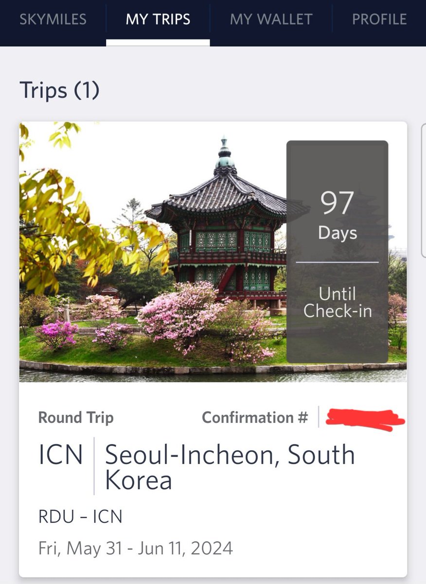🇰🇷 with <a href="/LianaKoala/">Liana</a> soon :)