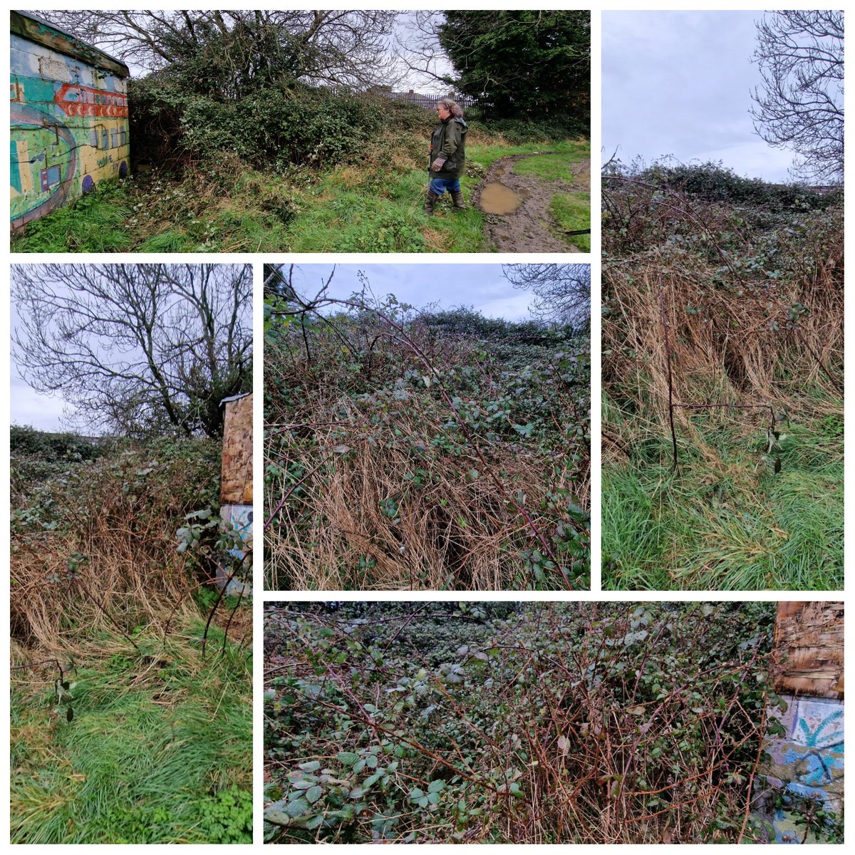 The Venture Community Hub tweet media