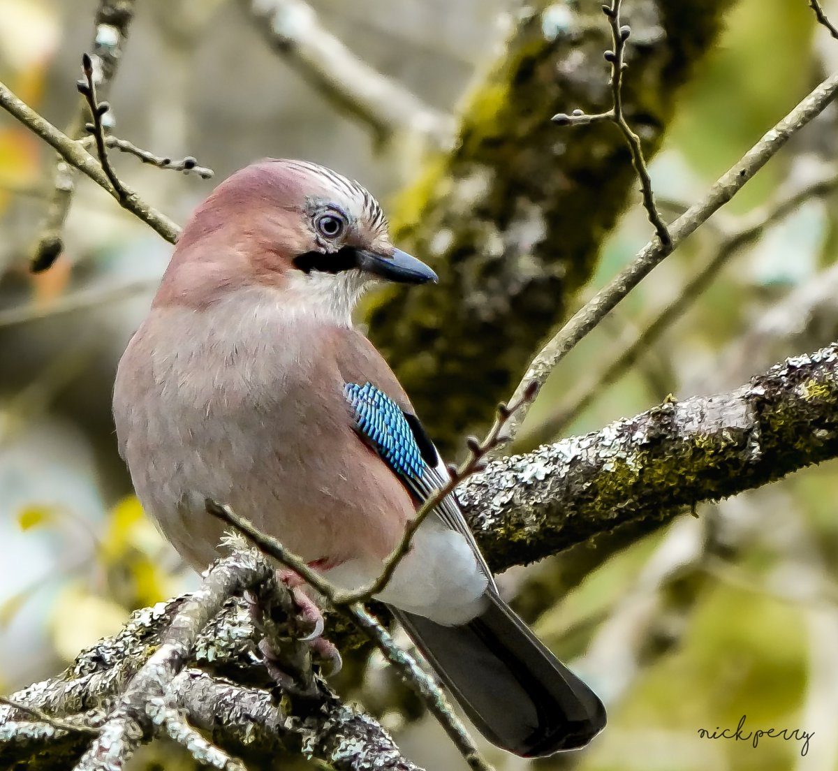 From the wettest city in the UK #ThursJay - @nickyperry82