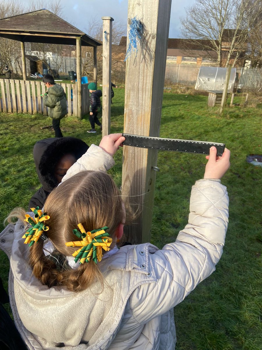 P2/1 and P2 have been learning to estimate and measure accurately. Some children asked if we could go outdoors to measure parts of our outdoor space which we enjoyed doing 🌳🪵📏 #childled #personalisationandchoice