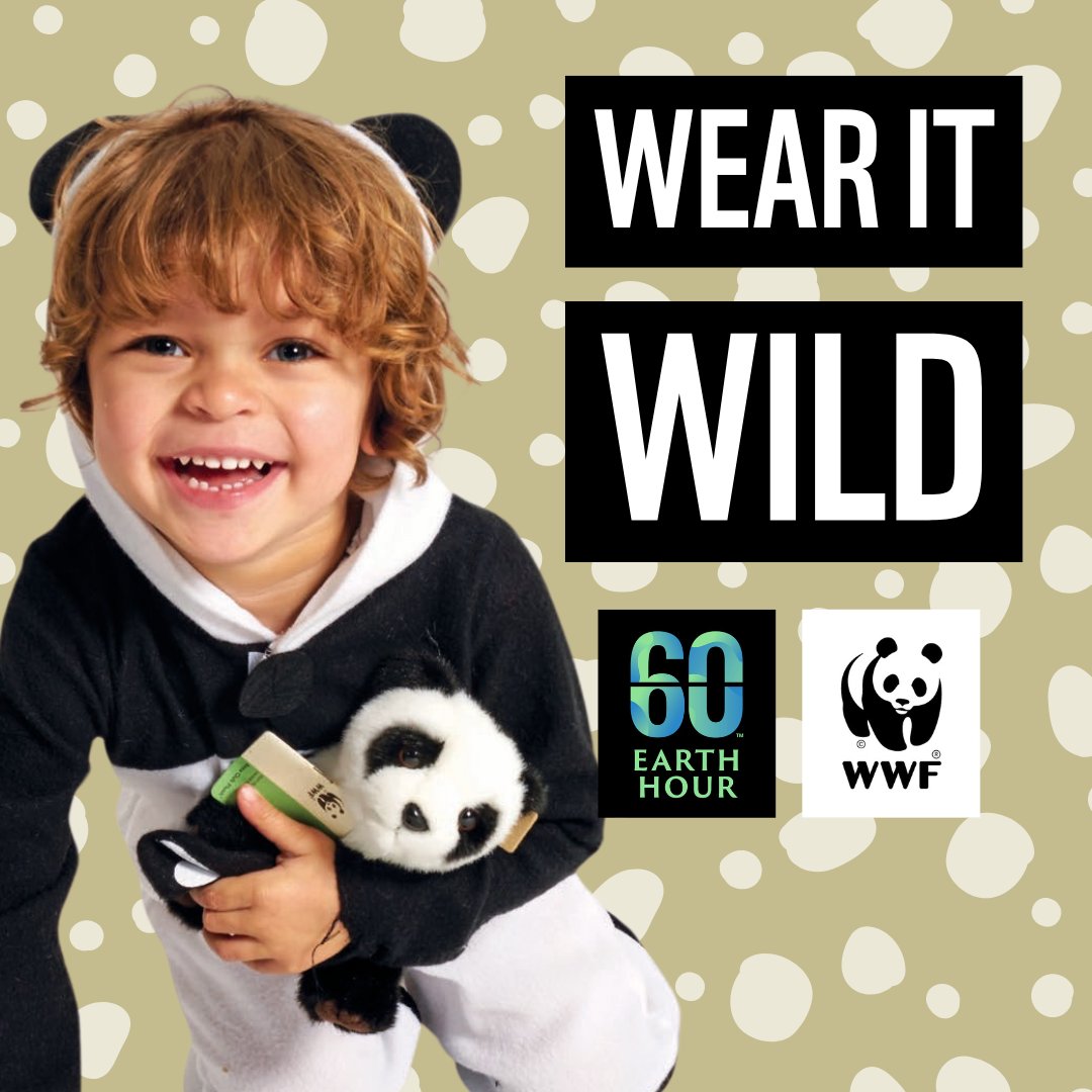 Wear It Wild on WWF’s Earth Hour Schools Day! (22 March) @EarthHour_AU Get started on your Earth Hour teaching with our lesson plans (Early Learning - Year 10). 👉 go.cool.org/3SIaYKW P.S. We have launched a new Year 1 & 2 lesson on Koalas; there are more to come!