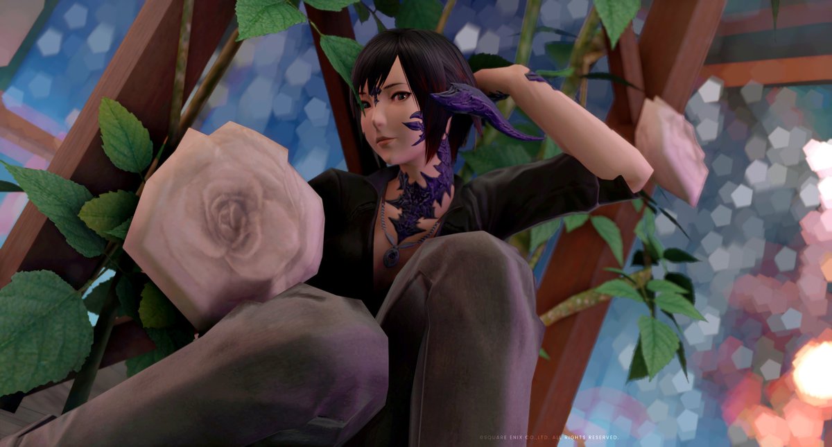 KaticaDavaa's tweet photo. More random snips at Ako Astoria.
#FF14SS #FFXIV #GPOSERS #XIV #PICTCLIP https://t.co/mRXgamD0lP
