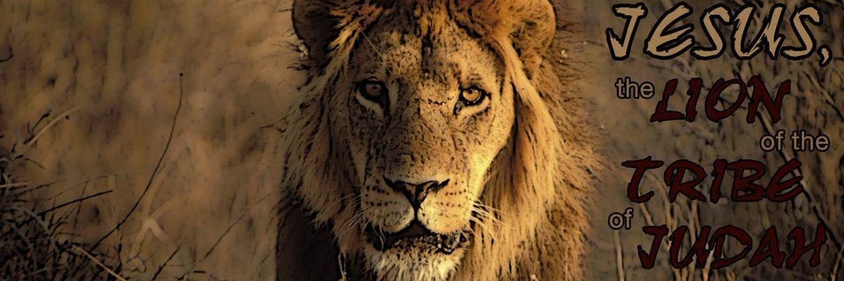 Rebel By Birth tweet media